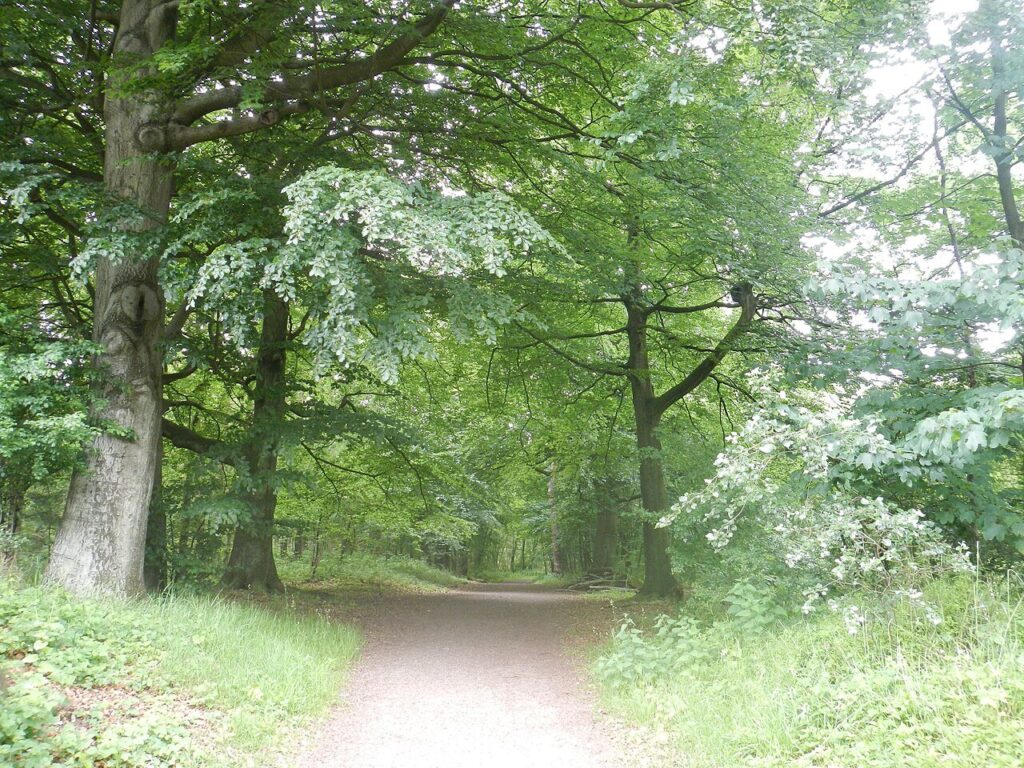 Lux et Terra in Deurne