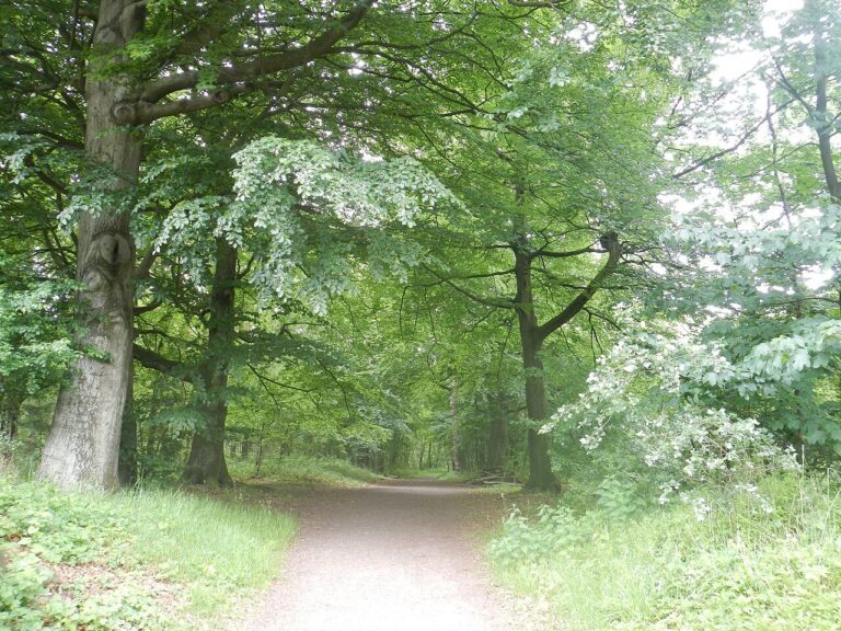 Lux et Terra — natuur in Deurne